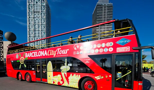 Big Bus Hop on Hop off Bus Ticket